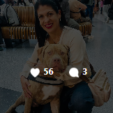 Organizamos el viaje completo de perros y gatos desde Venezuela y Colombia al resto del mundo. Papeles, permisos, aduana y vuelo: de eso nos ocupamos nosotros. Tú ocúpate de la bienvenida.
