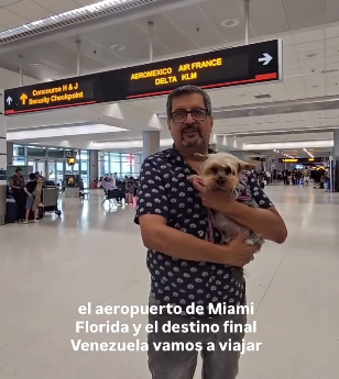 Vela la Yorki Historia de viaje con un perro de veneszuela a estados unidos